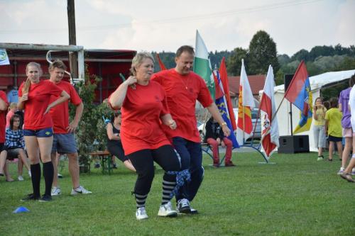 Hry mikroregionu Záhoran 2013 - Paršovice